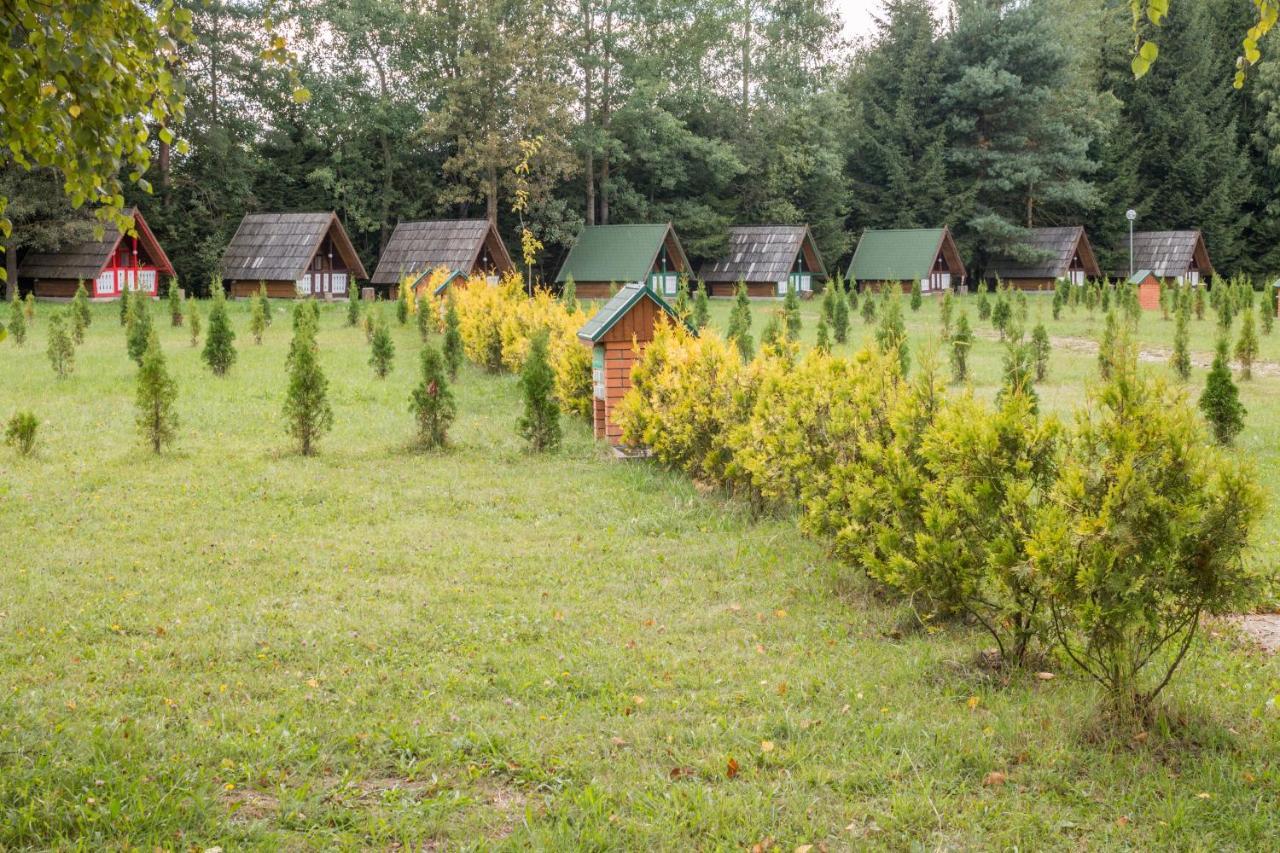 Pensiune Si Camping Patru - Gheorgheni Gheorgheni  Exterior foto
