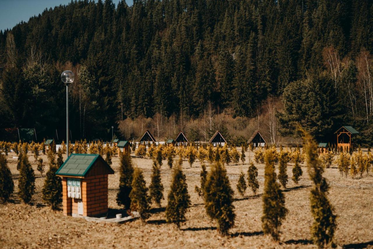 Pensiune Si Camping Patru - Gheorgheni Gheorgheni  Exterior foto
