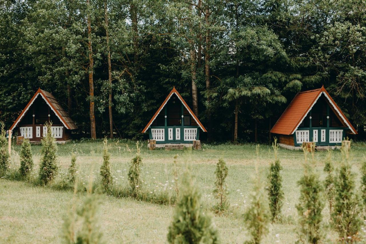 Pensiune Si Camping Patru - Gheorgheni Gheorgheni  Exterior foto