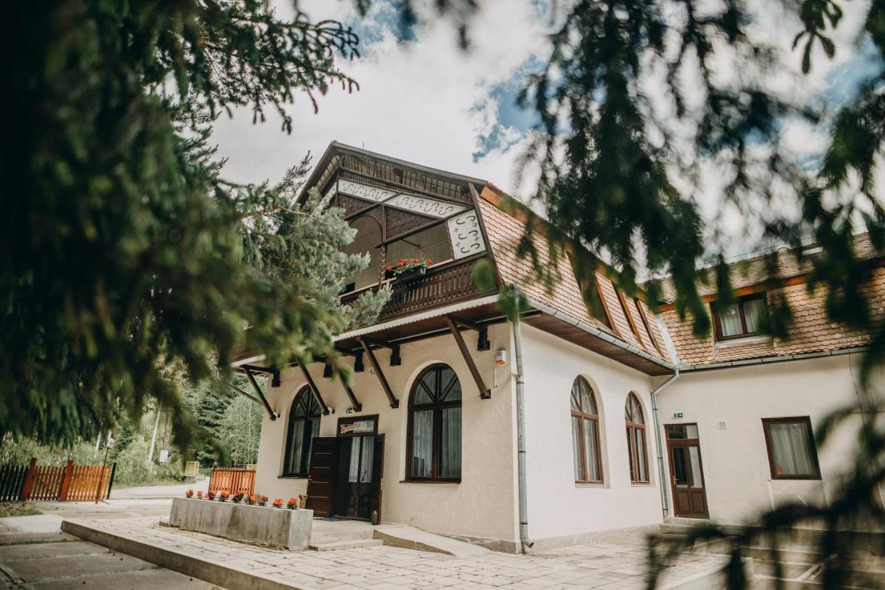 Pensiune Si Camping Patru - Gheorgheni Gheorgheni  Exterior foto
